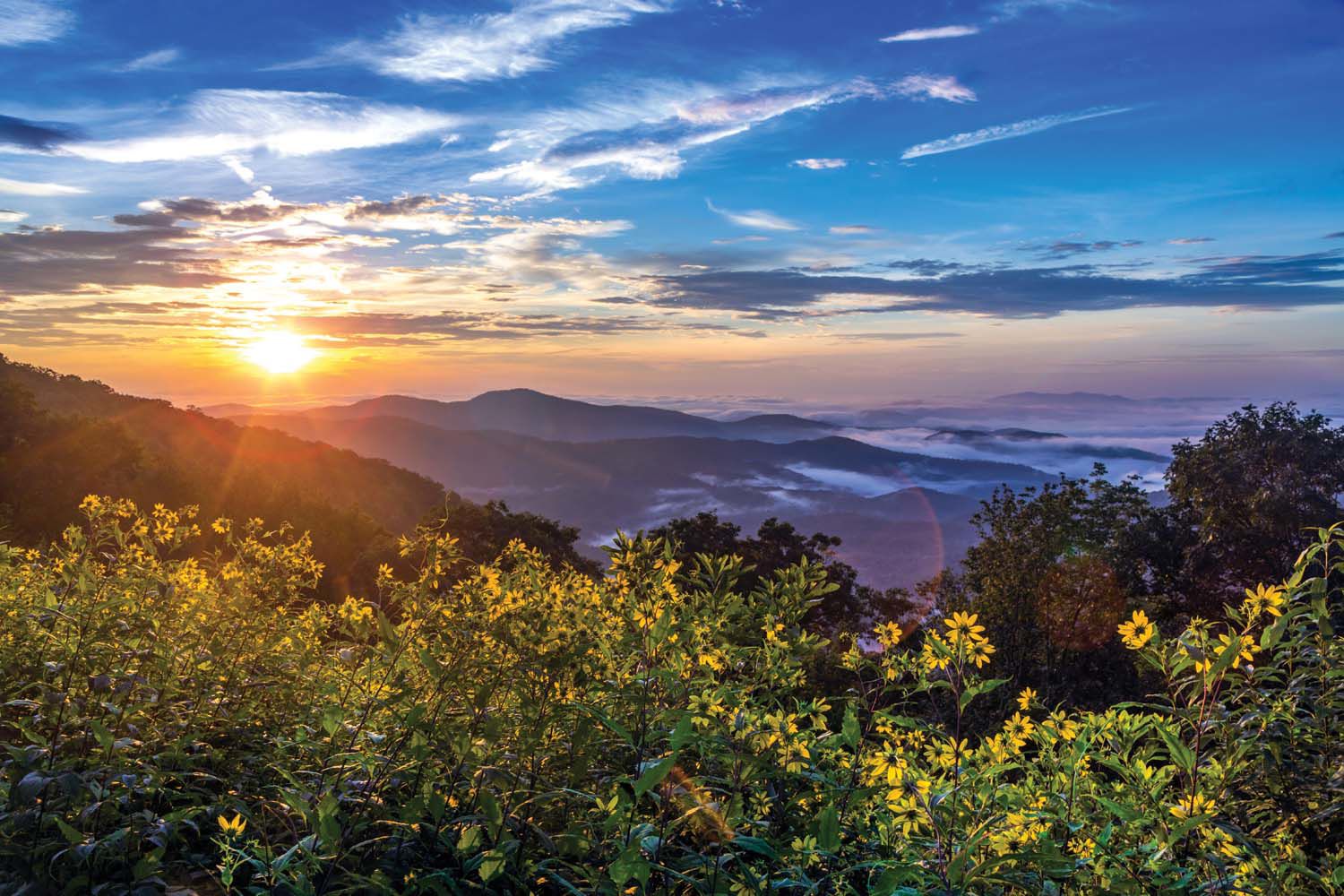 Favorite Day Trip: Blue Ridge Parkway